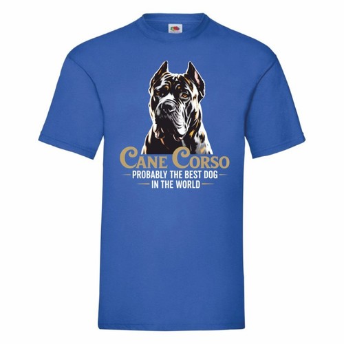 Cane corso probably the - corso,