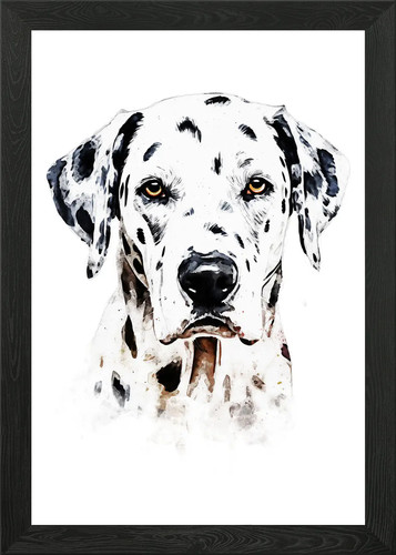 Dalmatian dog watercolor - dalmatian,