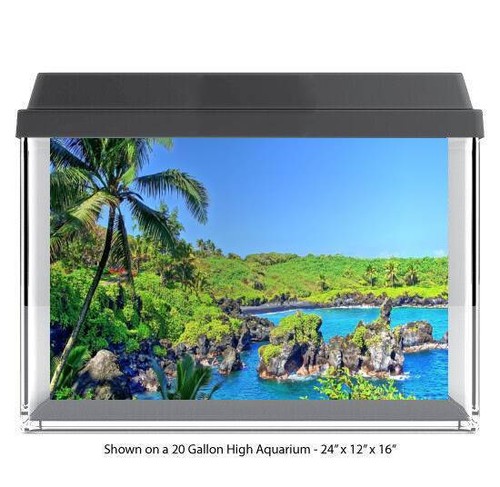Tropical shore line - shore, polyester