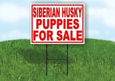 Siberian Husky PUPPIES FOR