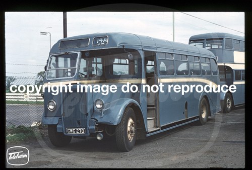 Copy bus slide alexander - copy,