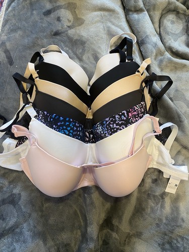 34f padded bra bundle - 34f,