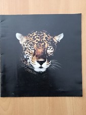 1991-92 JAGUAR Sales Brochure