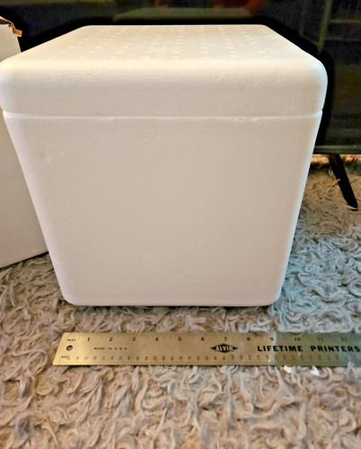 Styrofoam box with shipping - styrofoam,