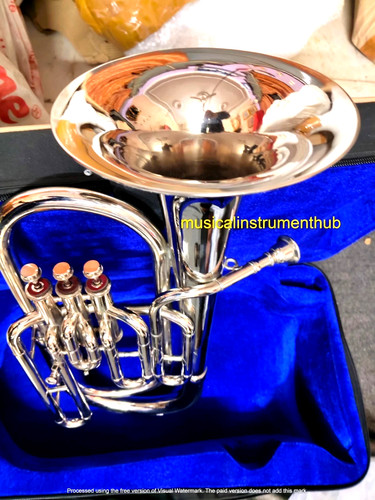 Baritone made pure - baritone, of