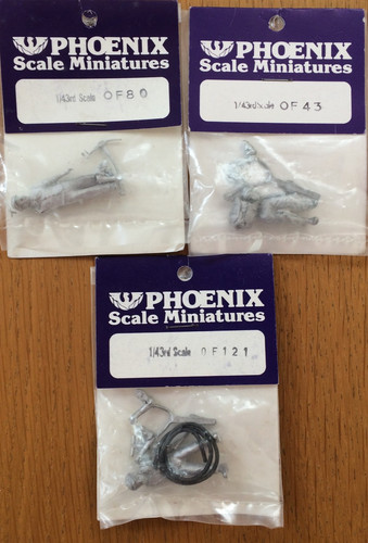 Gauge phoenix scale - o,
