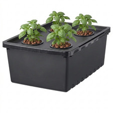Hydroponic grow box - grow, |