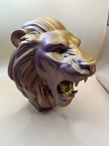 Lion head inlet feature for - inlet,