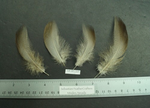 Three pairs bronze mallard - of,