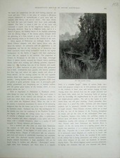 Original Old Antique Print 1886 View Baines River Australia Trees Country 19th