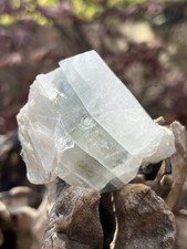 Green Multi Cubic Apophyllite