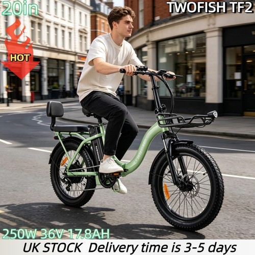 Fat tire bike 250w 36v - e-bike,