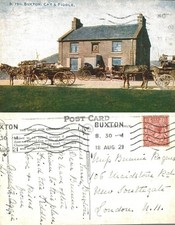 Vintage Postcard - Buxton Cat
