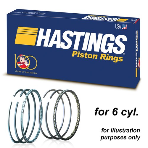 Hastings 2m4183 piston - 2m4183, rings