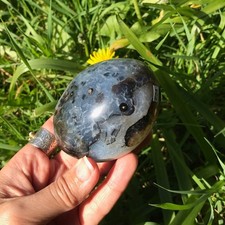DENDRITIC Agate Palm Stone