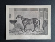 Antique 1852 print - Horse Racing - Daniel O'Rourke - Winner of 1852 Derby