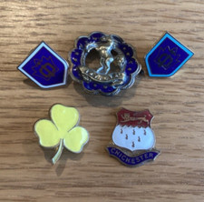 5 enamel badges, 1 is girl