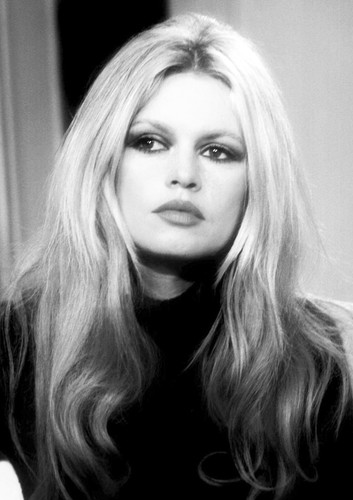 Brigitte bardot monochrome - brigitte,