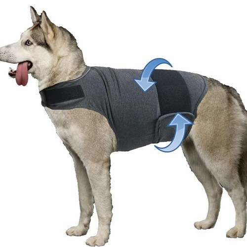 Dog anxiety jacket - dog,
