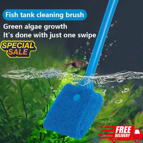 Fish tank cleaning - fish, brush