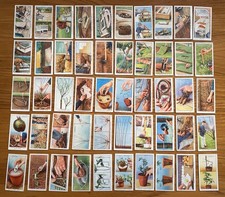 Wills - Garden Hints (1938) Full Set 