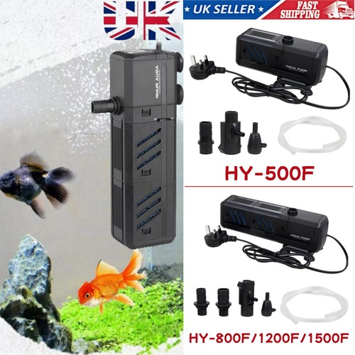 Aquarium fish tank - fish,