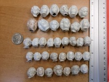 36 antique Germany tiny doll  heads frozen china head age 1880 ,0,59-0,98 inch