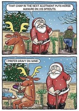 Funny Christmas Card Allotment