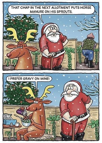 Funny christmas card allotment - funny,