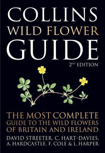 Collins wild flower - flower, guide