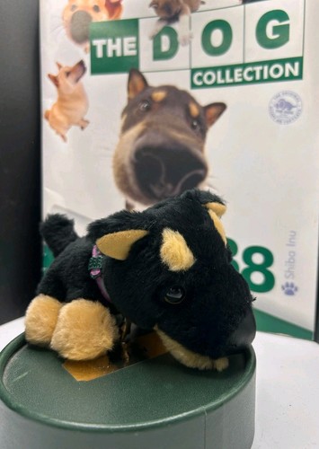 The dog collection shiba - the,