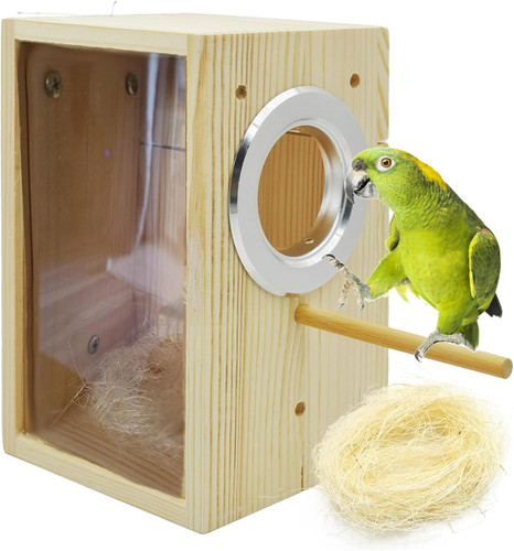 Transparent parakeet nesting - transparent,