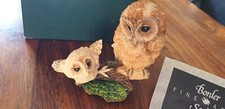 BORDER FINE ARTS CERAMIC ORNAMENT  LEARNING TO FLY TAWNY OWL & OWLET  - BOXED