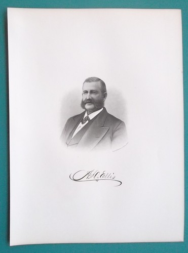 Almon ellis chicago largest - almon,