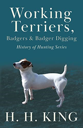 Working terriers badgers - badgers, and