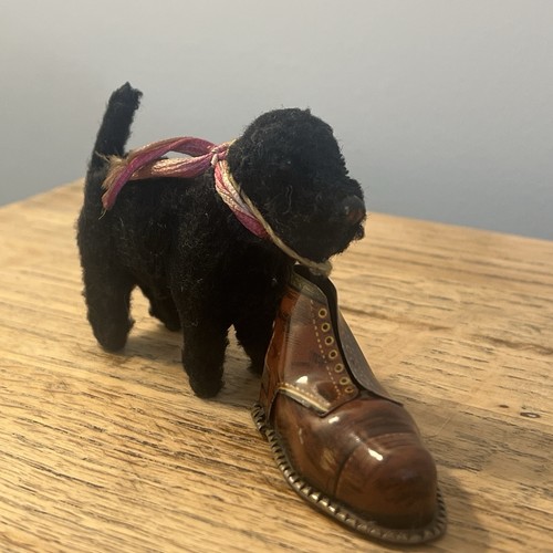Gescha teddy dog shoe wind - teddy,