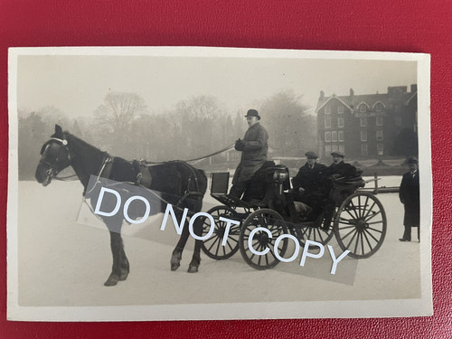 Horse cart on - &, ice