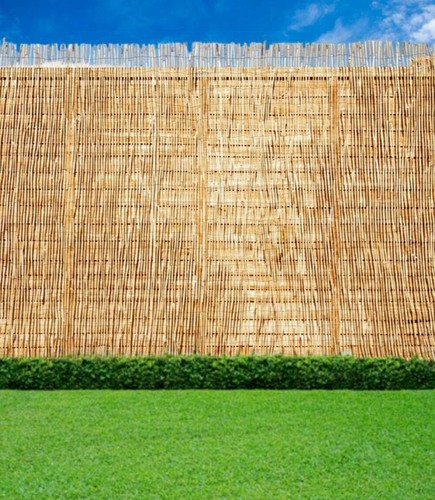 Practical bamboos the - practical, best