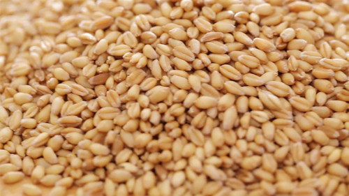 Copdock mill whole wheat 20kg - mill,