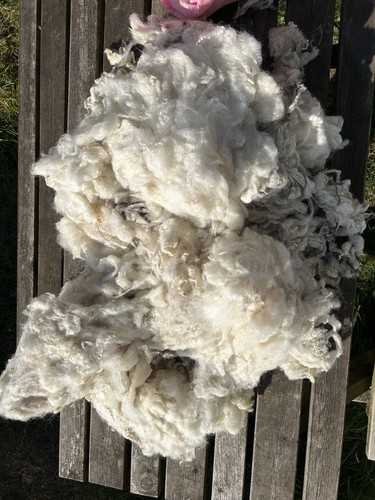 Washed carded fleece - washed,