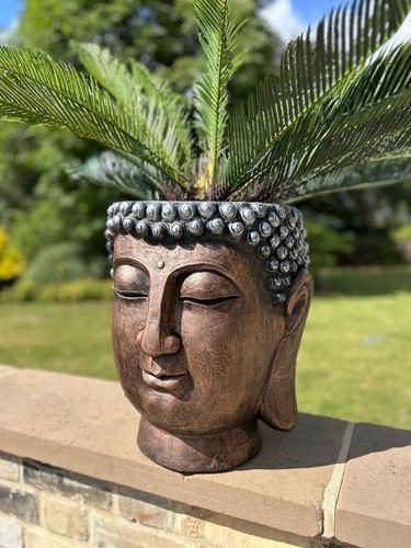 Buddha head garden - buddha,