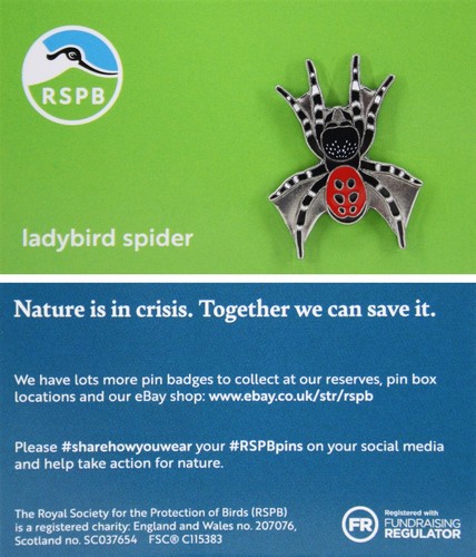 Rspb pin badge - rspb, niic