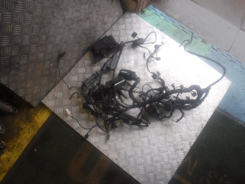 Bmw f800st wiring - f800st,