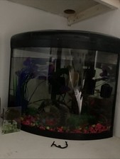 Corner Fish Tank with Plants
