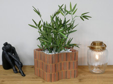 Boho Miami Retro Chic 70s Luxe