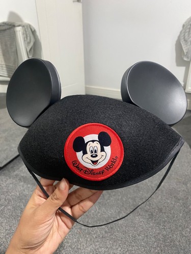 Walt disney parks mickey mouse - parks,