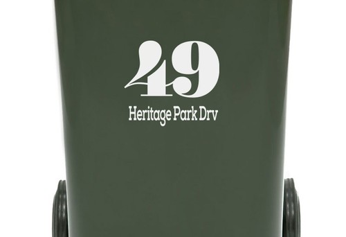 Fancy wheelie rubbish bin - wheelie,