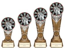 Personalised Darts Trophy