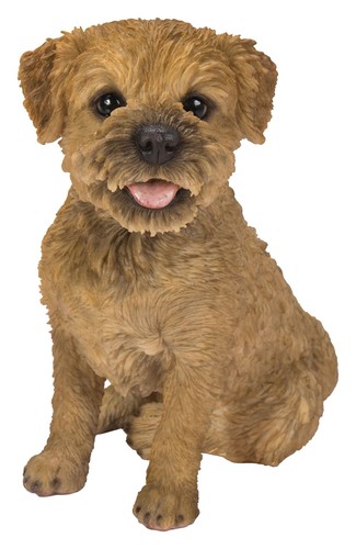Vivid arts border terrier dog - arts,