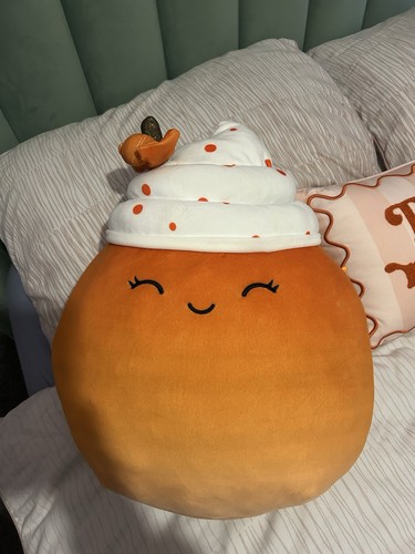 Pumpkin spice squishmallow - spice,